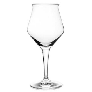 Ritzenhoff bier sommelier